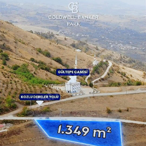 CB PARK/ERMAN AKINCI CANİK GÜLTEPE MAH. YATIRIMLIK SATILIK TARLA